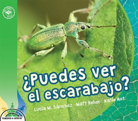 ?Puedes Ver el Escarabajo?