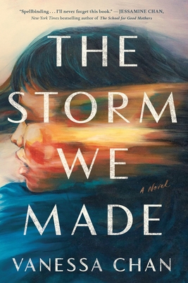 The Storm We Made 1668056348 Book Cover