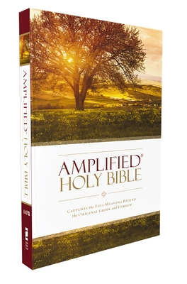 Amplified Bible-Am: Captures the Full Meaning B... 0310443903 Book Cover