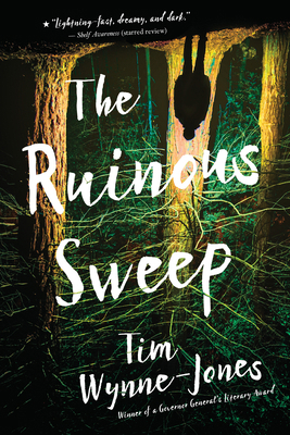 The Ruinous Sweep 1536208795 Book Cover