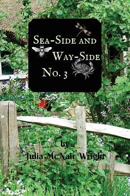 Sea-Side and Way-Side No. 3: Nature Stories for... 172564004X Book Cover