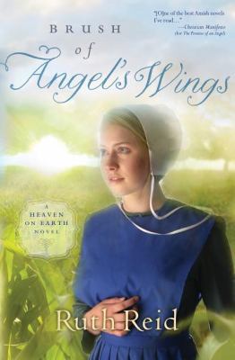 Brush of Angel's Wings 1595547894 Book Cover