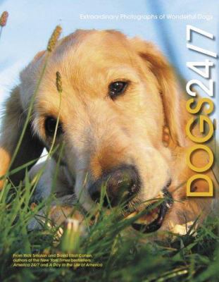 Dogs 24/7: Extraordinary Photographs of Wonderf... 0811848167 Book Cover