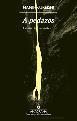 A Pedazos [Spanish] 8433946897 Book Cover