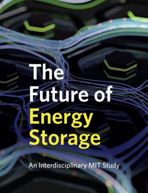 Paperback Future of Energy Storage Book