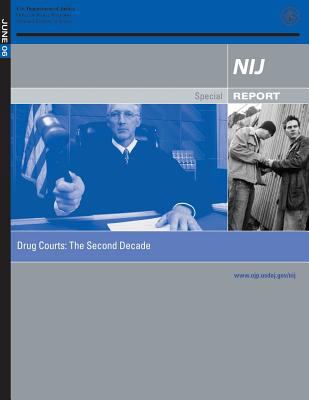 Drug Courts: The Second Decade 1502815435 Book Cover
