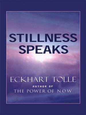 Stillness Speaks [Large Print] 1594151229 Book Cover