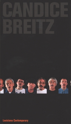 Candice Breitz: Louisiana Contemporary 8791607221 Book Cover