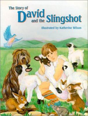 The Story of David and the Slingshot 0824954084 Book Cover