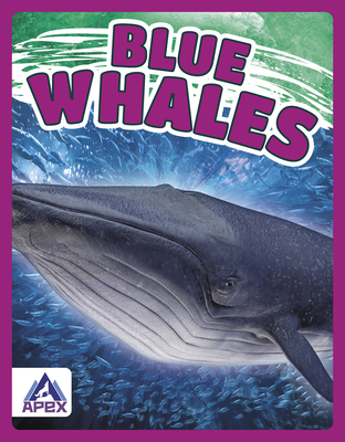 Blue Whales 163738002X Book Cover