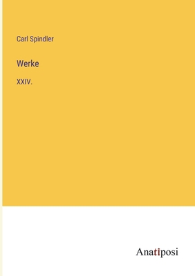 Werke: XXIV. [German] 3382040204 Book Cover
