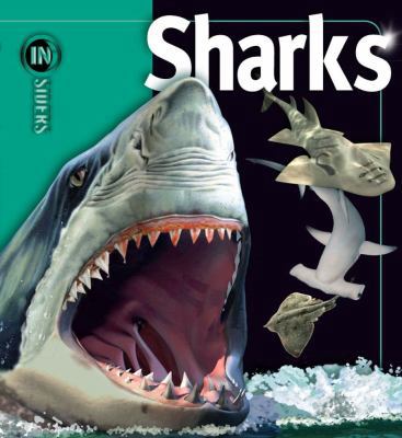 Sharks 1416938672 Book Cover