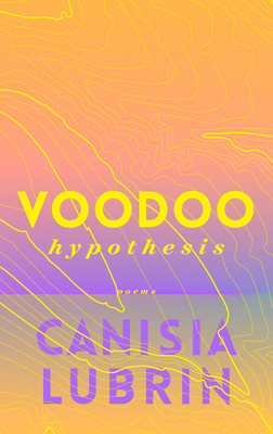 Voodoo Hypothesis 1928088422 Book Cover