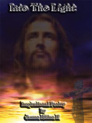 Into the Light 1420832433 Book Cover