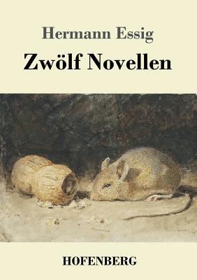 Zwölf Novellen [German] 3743724685 Book Cover