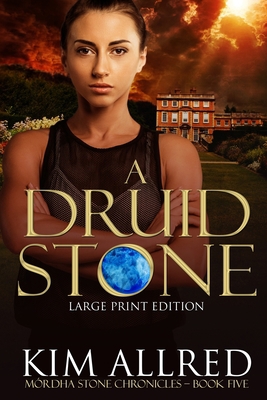 A Druid Stone Large Print: Time Travel Adventur... [Large Print] 1953832091 Book Cover