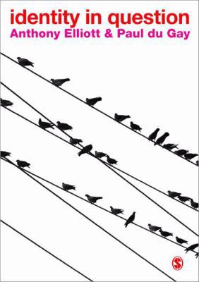 Identity in Question 1412922437 Book Cover