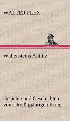 Wallensteins Antlitz [German] 3847248502 Book Cover
