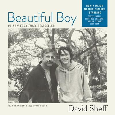 Beautiful Boy: A Father's Journey Through His S... 1433204681 Book Cover