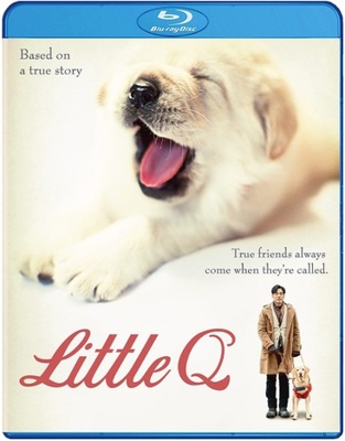 Little Q [Chinese] B09762BSC2 Book Cover