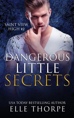 Dangerous Little Secrets: A Reverse Harem Bully... 0648939405 Book Cover