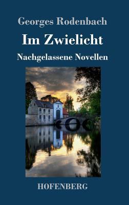 Im Zwielicht: Nachgelassene Novellen [German] 3743717670 Book Cover