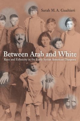 Between Arab and White: Race and Ethnicity in t... 0520255348 Book Cover