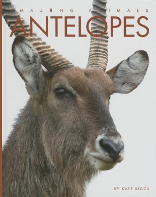 Antelopes 1608186083 Book Cover