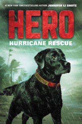 Hero: Hurricane Rescue 0062560441 Book Cover