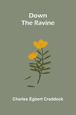 Down the Ravine 9369059903 Book Cover