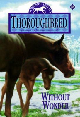 Thoroughbred #36: Without Wonder 0061066079 Book Cover