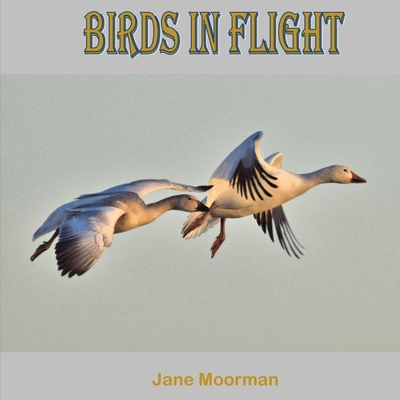 Birds in Flight B0F4HQ5YYZ Book Cover