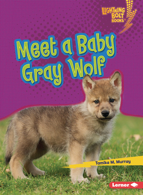 Meet a Baby Gray Wolf B0BP7VVJ7S Book Cover