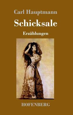 Schicksale: Erzählungen [German] 3743709406 Book Cover