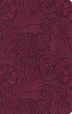 ESV Value Thinline Bible (Trutone, Raspberry, F... B0DWNDNFG1 Book Cover