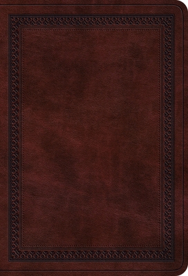 ESV Value Large Print Compact Bible (Trutone, M... B0DWNGVPKX Book Cover