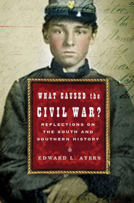 What Caused The Civil War?: Reflections On The ... 0393059472 Book Cover