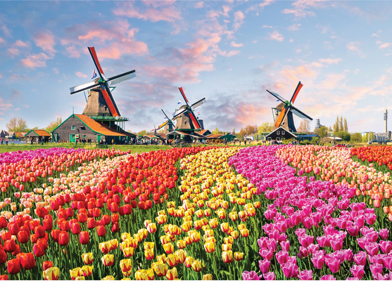 Hardcover Windmills and Tulips 1000 Piece Jigsaw Puzzle Book