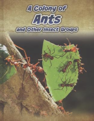 A Colony of Ants (Animals in Groups) 1406239461 Book Cover