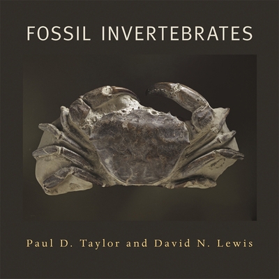 Fossil Invertebrates 0674025741 Book Cover