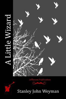 A Little Wizard 1523730471 Book Cover