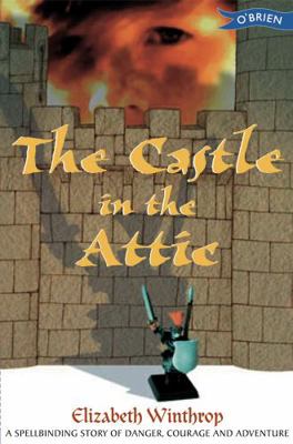 The Castle in the Attic 0862783070 Book Cover