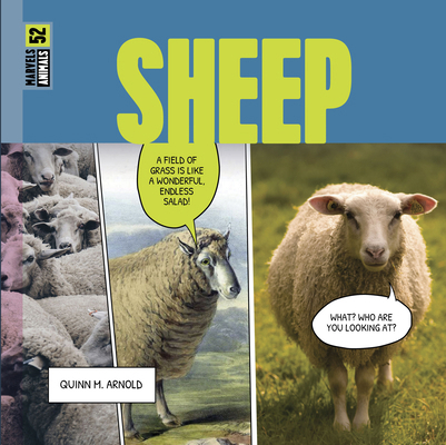 Sheep B0F547FT2Y Book Cover