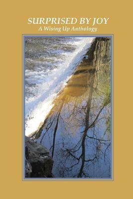 Surprised by Joy: A Wising Up Anthology 1732451400 Book Cover