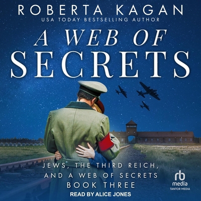 A Web of Secrets B0C6P9C472 Book Cover