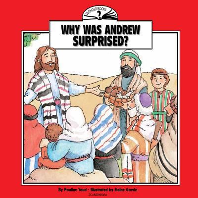 Why Was Andrew Surprised? (Wonder Books) 8772470437 Book Cover