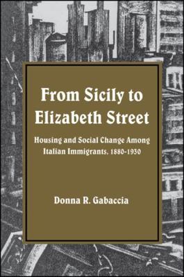 From Sicily to Elizabeth Street: Housing and So... 0873957687 Book Cover