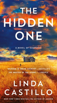 The Hidden One: A Novel of Suspense 1250781078 Book Cover