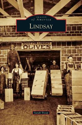 Lindsay 1531697682 Book Cover