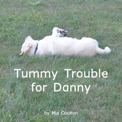 Tummy Trouble for Danny (Oh Danny Boy) 1933624930 Book Cover